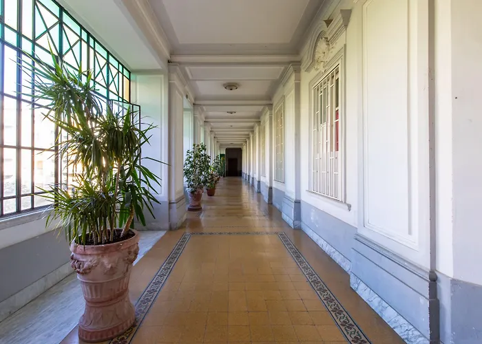 Belvedere Bonito